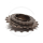 Shimano Single Speed Freewheel SF-1200 | brown | 1/2 x 1/8" | 16-20T