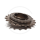 Shimano Single Speed Freewheel SF-1200 | brown | 1/2 x 1/8" - 16T